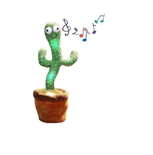 Dancing Cactus